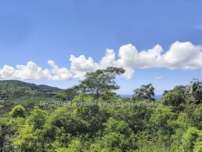 Terrain agricole de 464.62 arpents en vente de Quartier de la savanne à Chamarel