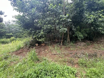 Agricultural Land