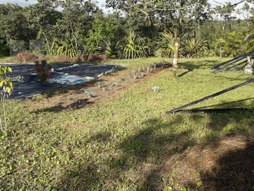 Agricultural Land