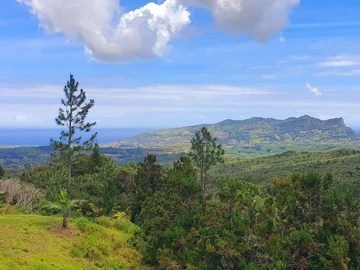 Commercial Land
