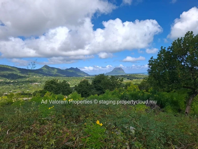 À Vendre – Terrain d’Exception de 4 431 m² à Petite Rivière Noire