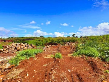 Commercial Land