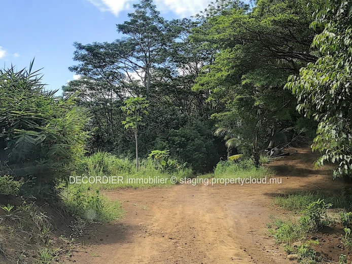 Terrain agricole de 464.62 arpents en vente de Quartier de la savanne à Chamarel