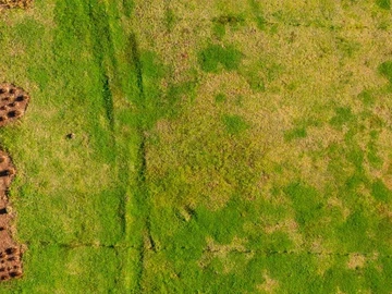 Residential Land