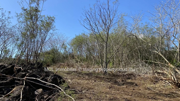 Terrain agricole d'un arpent à vendre à Anse la raie