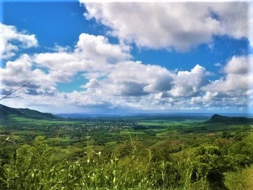 Land