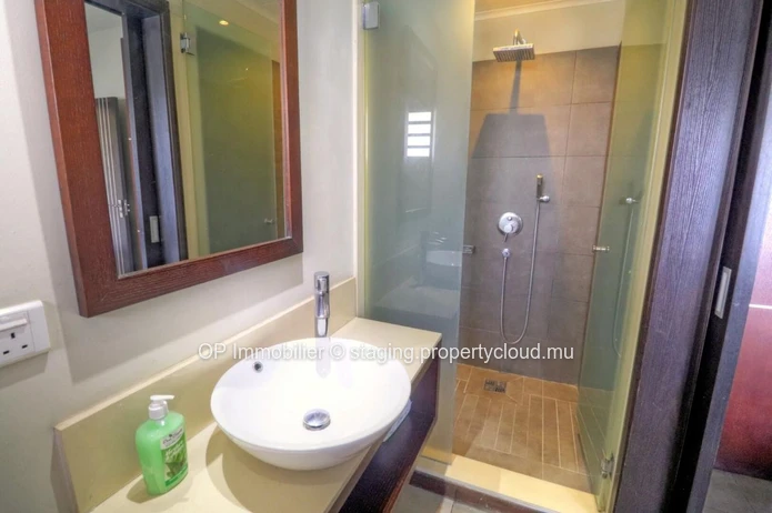 Penthouse for sale