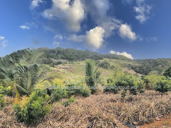 Agricultural land near Savanne river. (Sole Mandate)