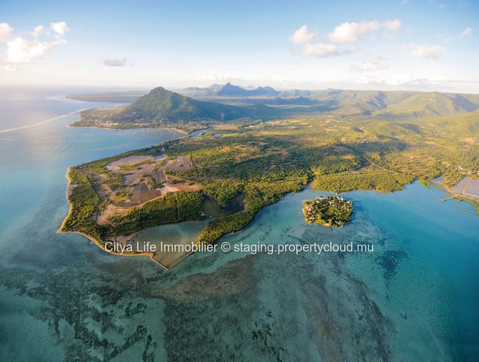 Vibrant lifestyle.