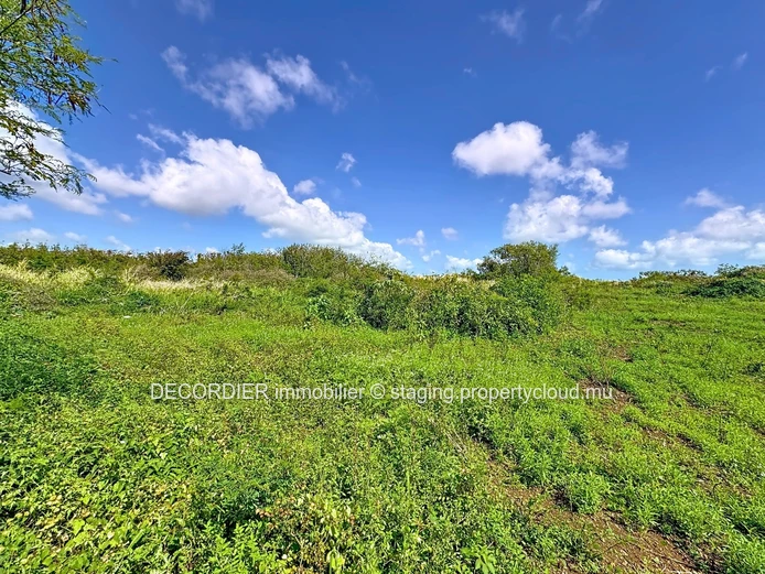 Invest in the future: Agricultural land with approved project (Sole Mandate)