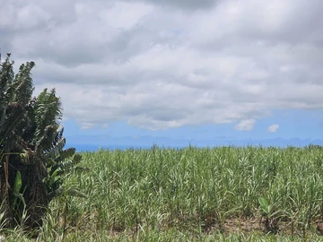 Agricultural Land