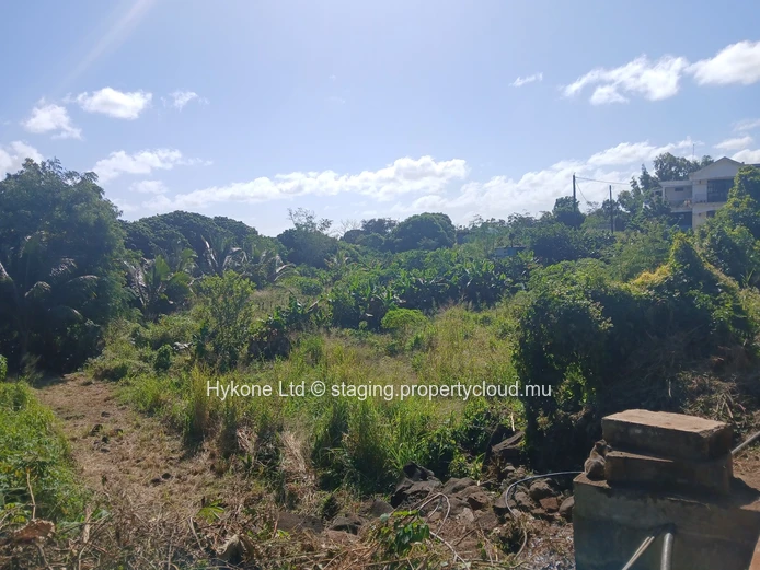 Agricultural Land For Sale In Bois Pignolet, Terre Rouge