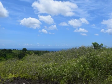 Terrain Agricole