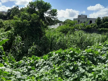 Residential Land