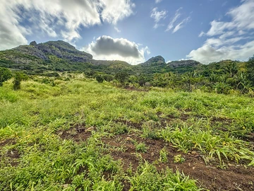 Terrain