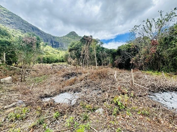 Agricultural Land
