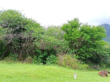 Residential Land