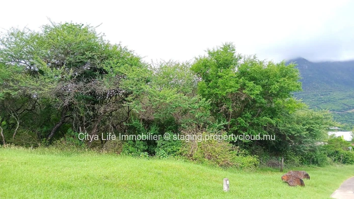Plot of Land for Sale – 2,785m² in Domaine de Palmyre