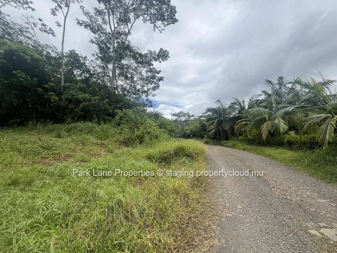 Terrain agricole à Chamarel