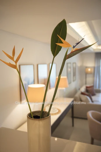 Velvet 1202 : Apartment with sea view & private pool at Beau Champ