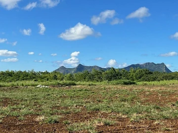 Agricultural Land