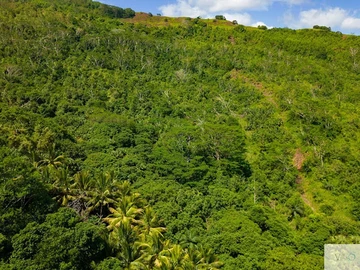 Agricultural Land
