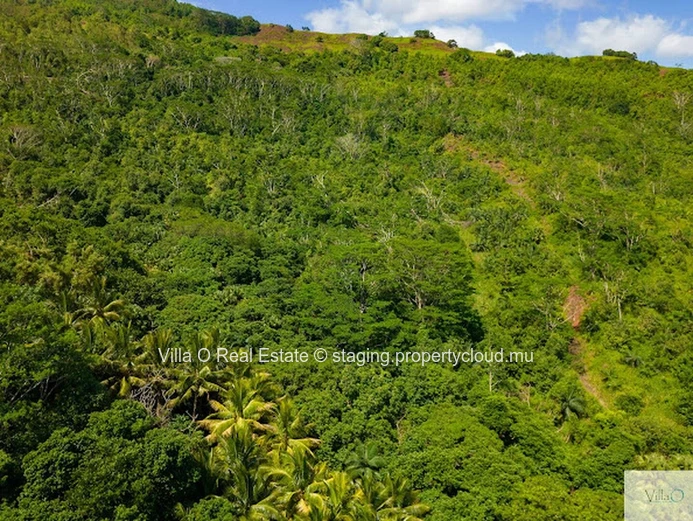 Idéal pour un projet immobilier ambitieux, ce terrain agricole situé sur les hauteurs, offre des vues panoramique. (Mandat exclusif)
