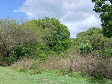 Residential Land