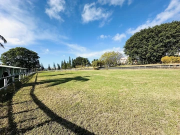Agricultural Land