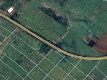 Agricultural Land