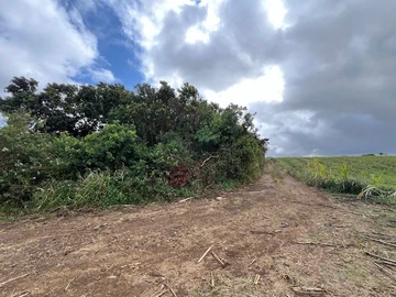 Agricultural Land