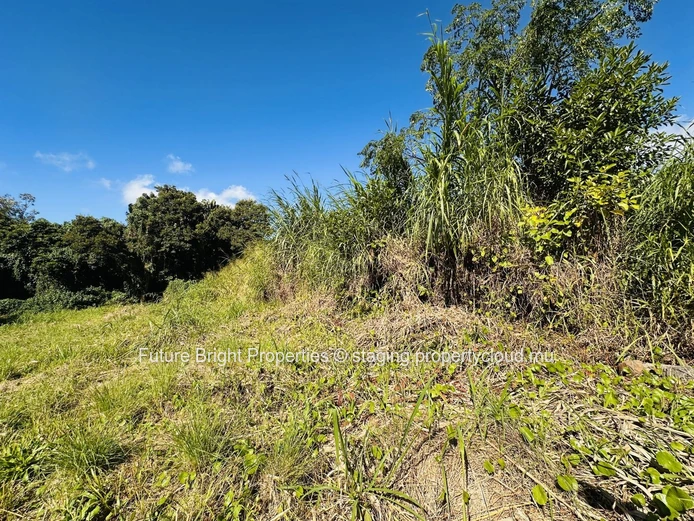 Vaste Terrain à Phoenix – Idéal pour Projet Résidentiel avec Grand Jardin Potentiel