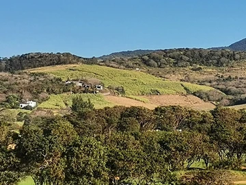 Agricultural Land