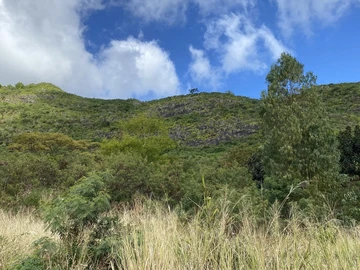 Terrain