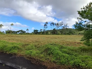 Residential Land