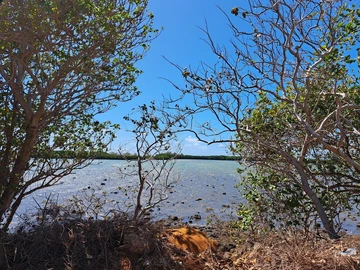 Residential Land