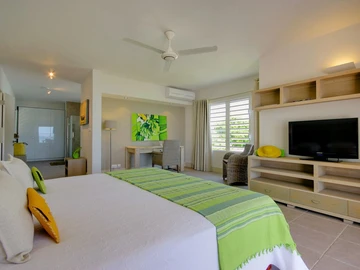 4 Bedroom Penthouse
