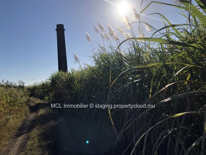 Terrain agricole de 6,262m2 à Anse la Raie