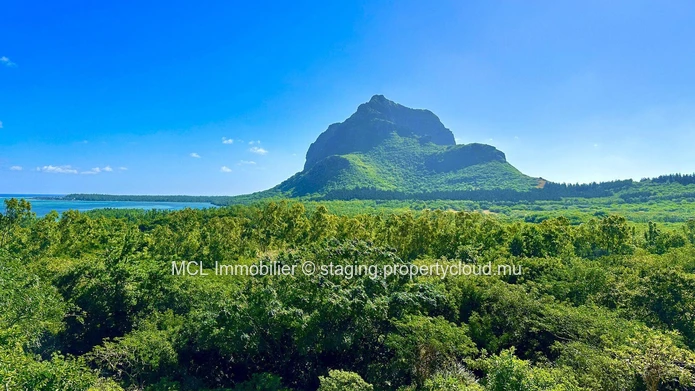 Terrain Agricole de 12 arpents à vendre au Morne