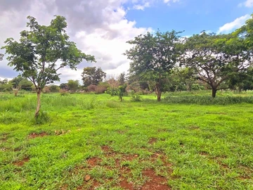 Terrain Agricole