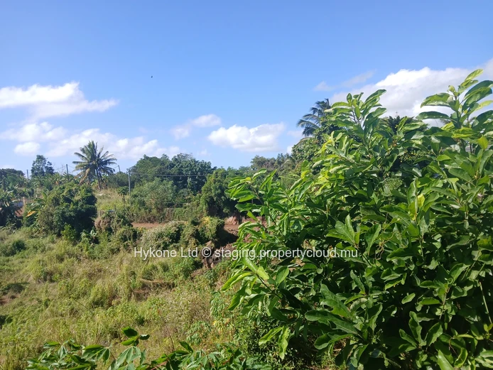 Agricultural Land For Sale In Bois Pignolet, Terre Rouge