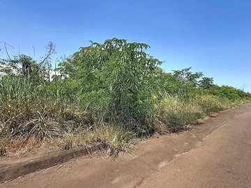 Terrain