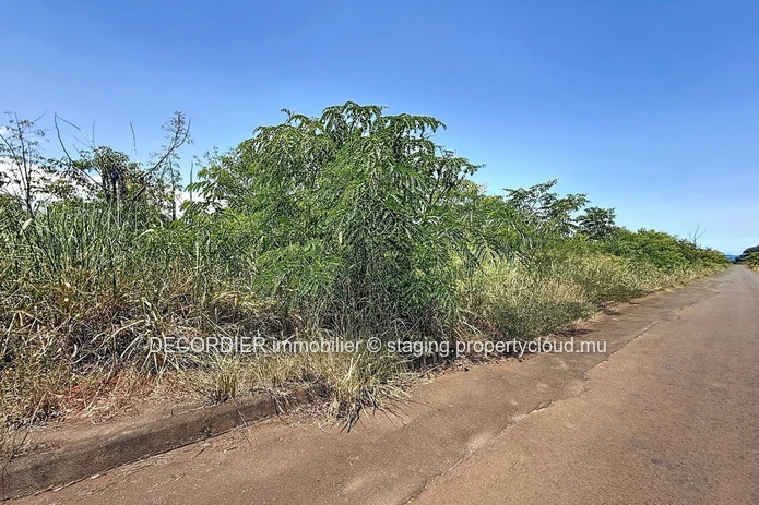Terrain Résidentiel de 3 Arpents à Vendre – Balaclava