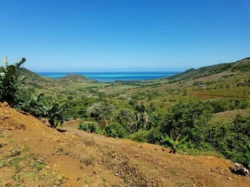 Agricultural Land