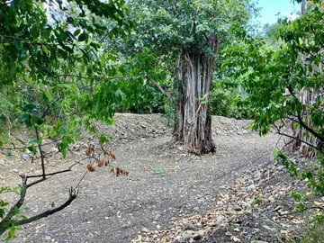 Residential Land