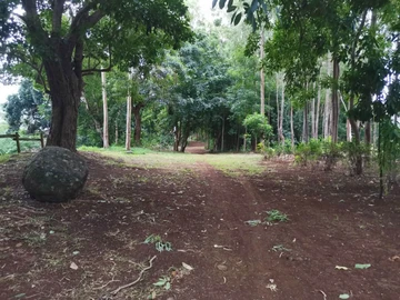 Land