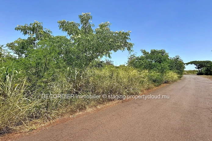 Terrain Résidentiel de 3 Arpents à Vendre – Balaclava