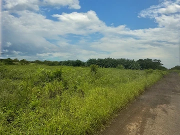Terrain Agricole