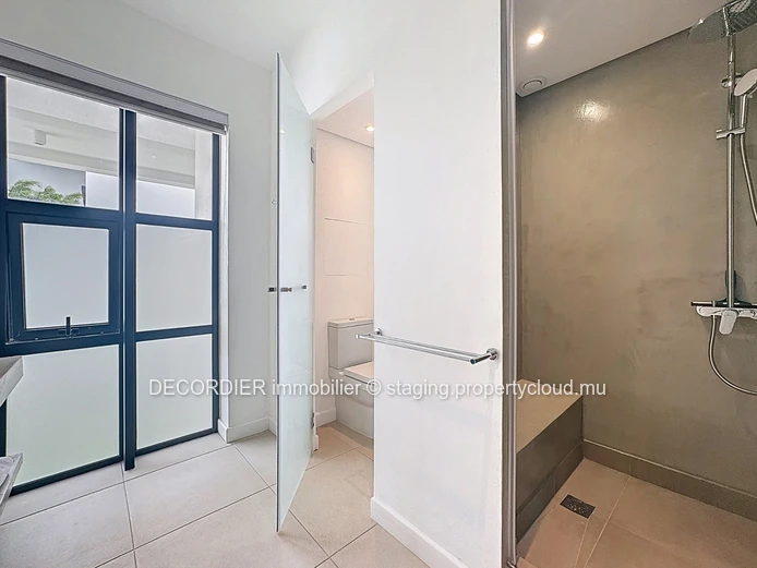Magnificent duplex apartment in Pointe aux Cannoniers