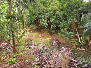 Land